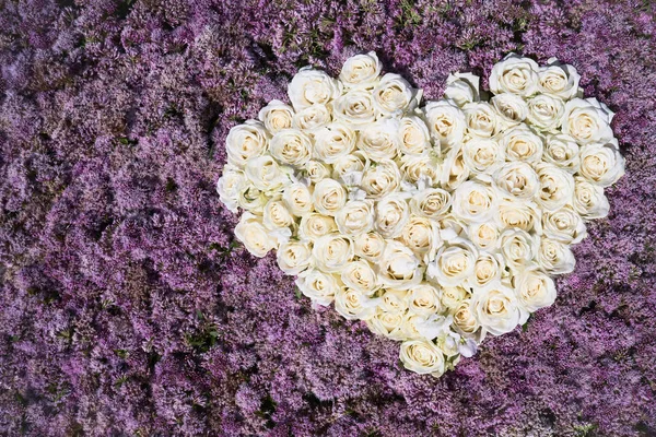 Herz aus weißen Rosen. Blumenbeet, Draufsicht, Kopierraum. Grußkarte, Postkarte. — Stockfoto