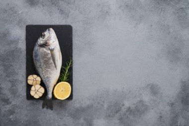 Gri arka planda taze Royal Dorada. Sağlıklı gıda kavramı. Üst görünüm, kopyalama alanı. Akdeniz deniz ürünleri konsepti.