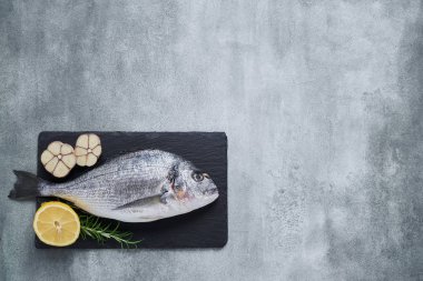 Gri Arka Plan taze Royal Dorade. Sağlıklı gıda kavramı. Üst görünüm, kopyalama alanı. Akdeniz deniz ürünleri konsepti.  