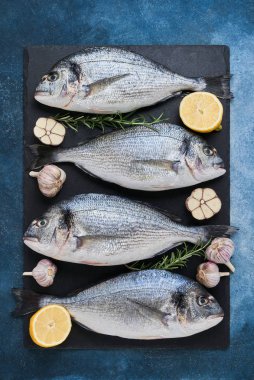 Mavi zeminde taze Kraliyet Dorades. Sağlıklı gıda kavramı. Üst görünüm, kopyalama alanı. Akdeniz deniz ürünleri konsepti.