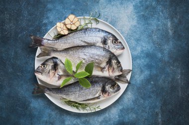 Mavi zeminde çanak dört Taze Royal Dorades. Sağlıklı gıda kavramı. Üst görünüm, kopyalama alanı. Akdeniz deniz ürünleri konsepti.