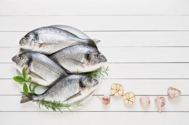 Beyaz ahşap arka plan üzerinde çanak dört Taze Royal Dorades. Sağlıklı gıda kavramı. Üst görünüm, kopyalama alanı. Akdeniz deniz ürünleri konsepti.