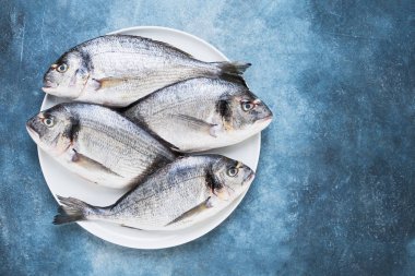 Mavi zemin üzerinde bir tabak dört ham Royal Dorades. Sağlıklı gıda kavramı. Üst görünüm, kopyalama alanı. Akdeniz deniz ürünleri  