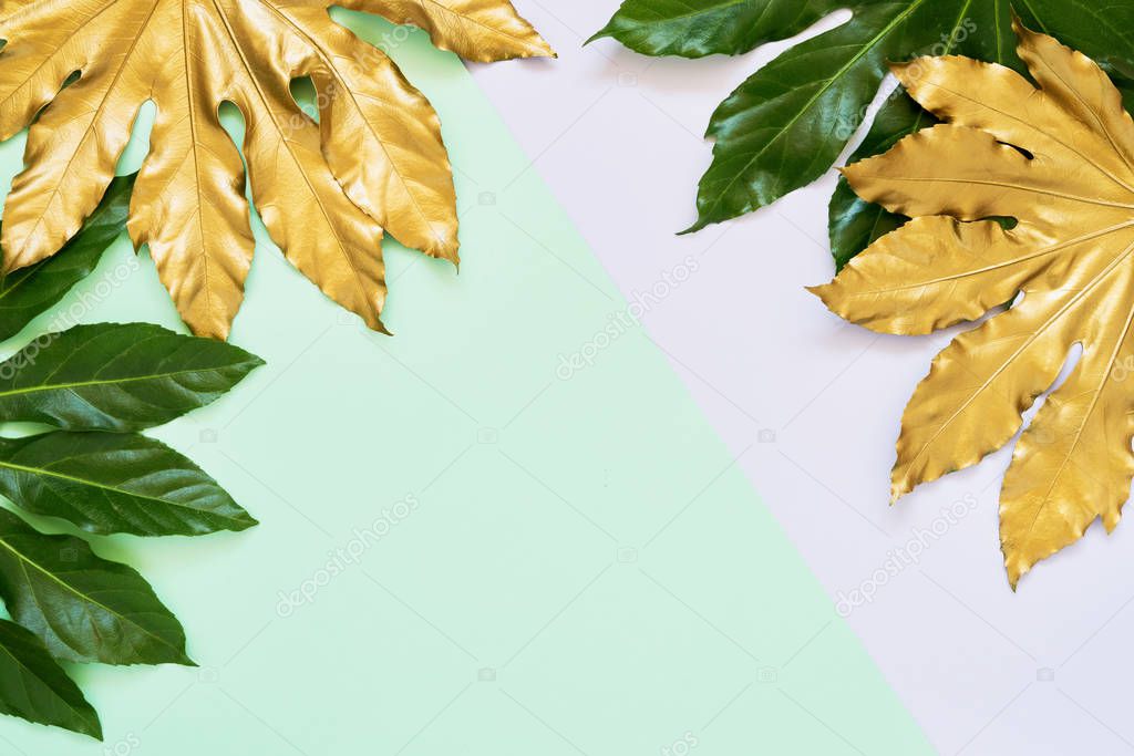 Golden and green tropical leaves on colorful backdrop. Minimal autumn exotic concept with copy space. Copy space, top view.