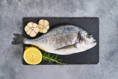 Gri arka planda taze Royal Dorada. Sağlıklı gıda kavramı. Üst görünüm, kopyalama alanı. Akdeniz deniz ürünleri konsepti.