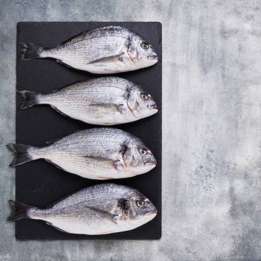 Beton gri zemin üzerinde dört Taze Kraliyet Dorades. Sağlıklı gıda kavramı. Üst görünüm, kopyalama alanı.