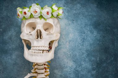 Mavi arka planda beyaz çiçekli çelenk olan insan kafatası. Uzayı kopyala Dia de Muertos Günü.