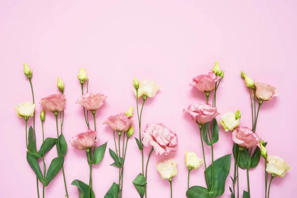Flores de eustoma rosa y blanco sobre fondo rosa. Espacio de copia, vista superior. Día Internacional de la Mujer, Cumpleaños, Día de la Madre . — Foto de Stock
