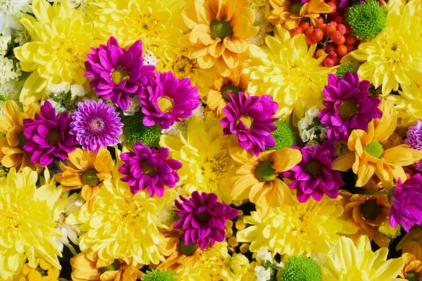 Fiori autunnali sfondo. Un tappeto di fiori colorati. Vista dall'alto. Sfondo vacanza. Biglietto d'auguri — Foto Stock