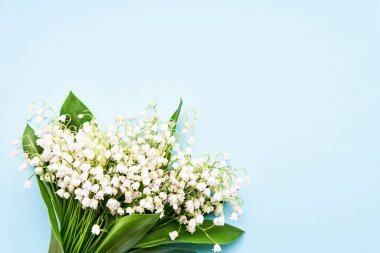 Mavi arka planda bir buket zambak. Yukarıdan görüntüle, metin için alanı kopyala