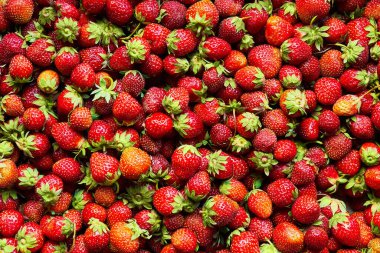 Çilek arkaplanı. Taze organik böğürtlen..