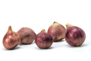 Beyaz arkaplanda soğan izole edildi