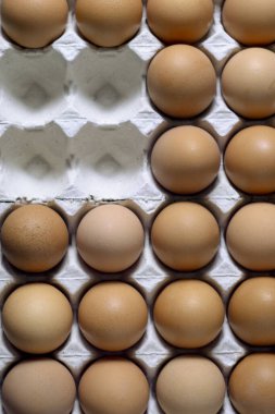 Üst Manzara. Yumurtalar tam panelde değil.