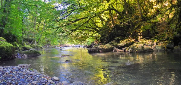 Panorama Schilderachtige Bergrivier Kaukasus — Stockfoto