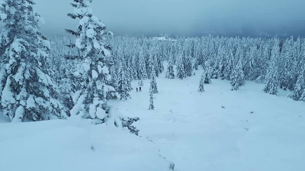 ロシアだ 山岳南部ウラル 山の冬の景色 雪の森だ パノラマ — ストック写真