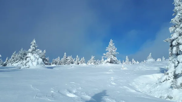 ロシアだ 山岳南部ウラル 山の冬の景色 雪の森だ パノラマ — ストック写真