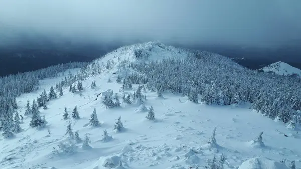 ロシアだ 山岳南部ウラル 山の冬の景色 雪の森だ パノラマ — ストック写真