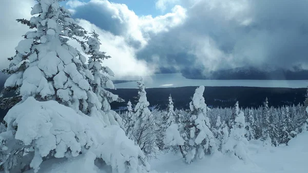 ロシアだ 山岳南部ウラル 山の冬の景色 雪の森だ パノラマ — ストック写真