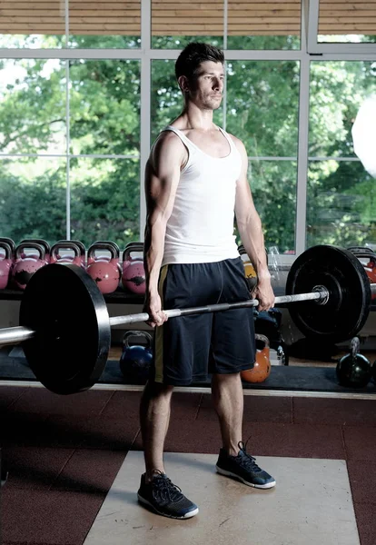 Atleta Entrenador de fitness trabajando ou —  Fotos de Stock