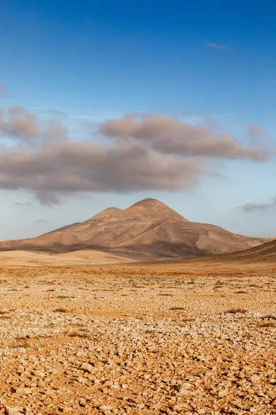 desert landscape with volcanic mountains in Fuerteventura, Canary Islands - trekking landscape