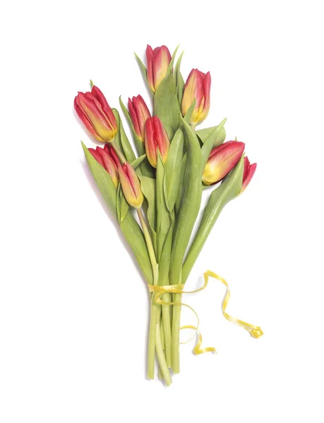 Bouquet Fleurs Tulipe Rouge Isolé Sur Fond Blanc — Photo