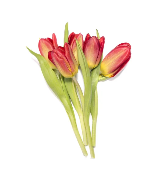 Bouquet Fleurs Tulipes Rouges Jaunes Isolé Sur Fond Blanc — Photo