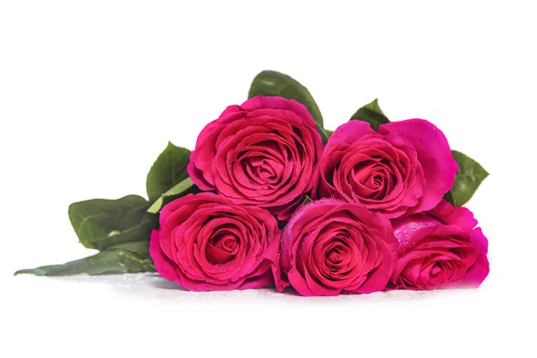 Fundo branco com cinco rosa rosa buquê de flores — Fotografia de Stock