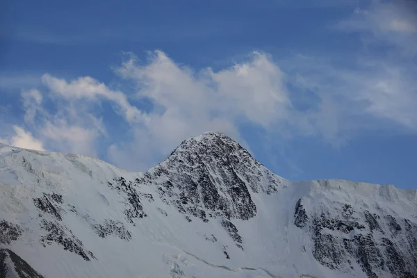Beluha Mountain Snowy Peak Altai Landscape Russia — Stock Photo, Image