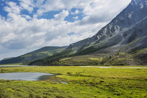 Valle Akkem Parque Beluha Montaña Altai Rusia — Foto de Stock