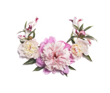 Beyaz arka plan üzerinde izole pembe şakayık çiçekleri ile çiçek kompozisyon