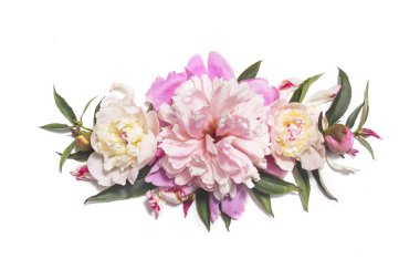 Beyaz arka plan üzerinde izole pembe şakayık çiçekleri ile çiçek kompozisyon