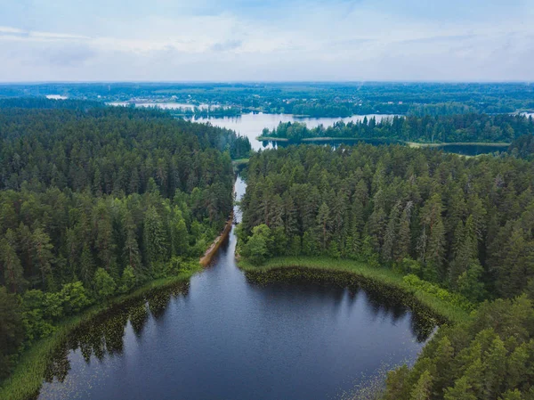 stock image View of Lake Seliger from the above. Russian nature landscape