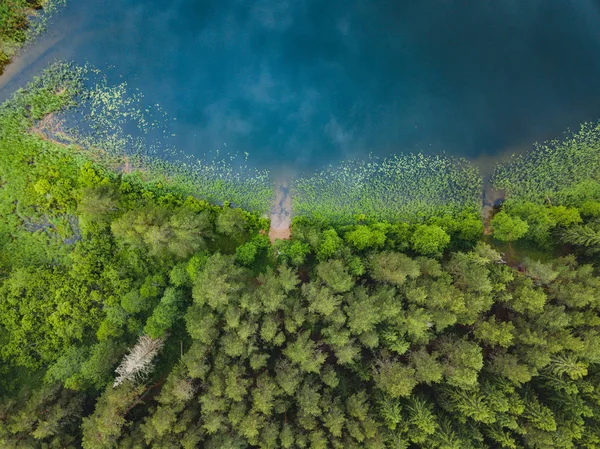 从上面看谢利格尔湖 俄国自然风景 — 图库照片