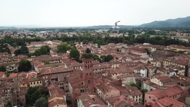 Ciudad Lucca Paisaje Vista Aérea Toscana Italia Vista Desde Arriba — Vídeo de stock