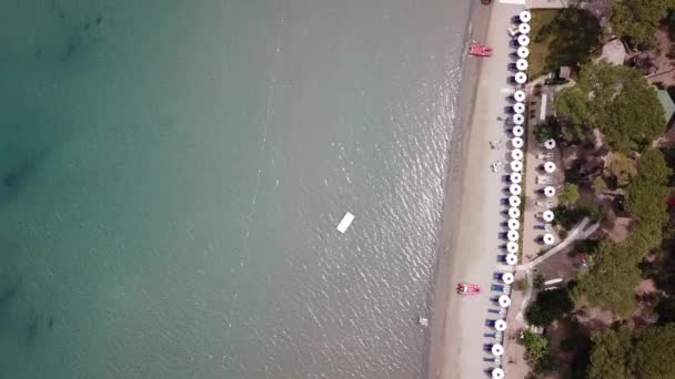 Stranden Punta Ala Aerial View Landskap — Stockvideo