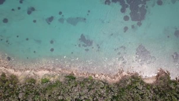 Playa Punta Ala Paisaje Con Vista Aérea — Vídeo de stock