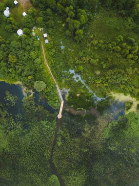 Lake Pleshcheyevo görünümünü yukarıda. Rus doğa manzara