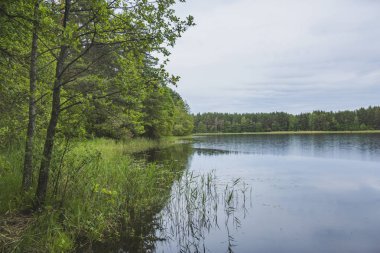 Gölü kıyısındaki Shchuchye. Seliger, Rus manzara