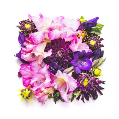 Glayöl ve Yıldızçiçeği çiçek beyaz bir arka plan üzerinde izole kare 