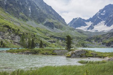 Göl Kuiguk görünümü. Altay Dağları. Rus manzara