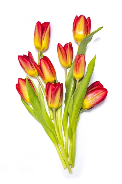 Bouquet Fleurs Tulipes Rouges Jaunes Isolé Sur Fond Blanc — Photo
