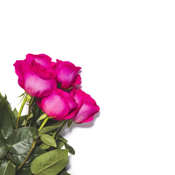Fundo Branco Com Cinco Rosa Rosa Buquê Flores — Fotografia de Stock