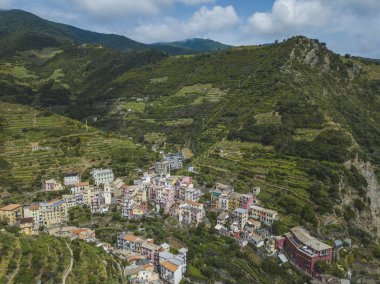 Teraslı tarım Manarola şehir etrafında. Cinca Terre. İtalya
