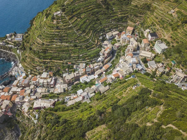 Fazenda Terraços Torno Cidade Manarola Cinca Terre Itália — Fotografia de Stock