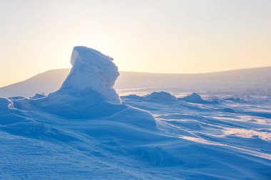 Kar Ladin ağacı kaplı. Frosty dawn Kuzey Ural Dağları, Komi Cumhuriyeti, Rusya 