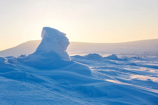 Árbol Abeto Cubierto Nieve Amanecer Helado Las Montañas Los Urales —  Fotos de Stock