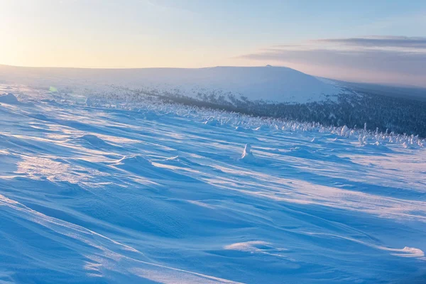Śnieg Pustyni Wschodzie Słońca Szron Północnych Gór Ural Republika Komi — Zdjęcie stockowe