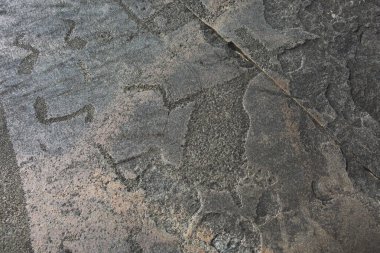 Cape Besov burun Petroglyph mus. Onega Gölü, kaya resimleri.
