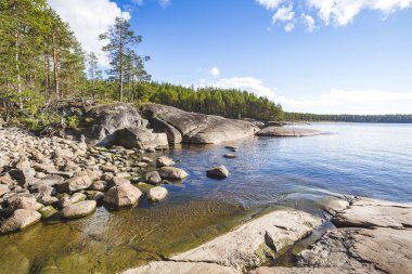 Onega Gölü kıyısında manzara. Karelya. Şeffaf su