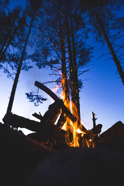 Вогонь горить у нічному лісі — стокове фото